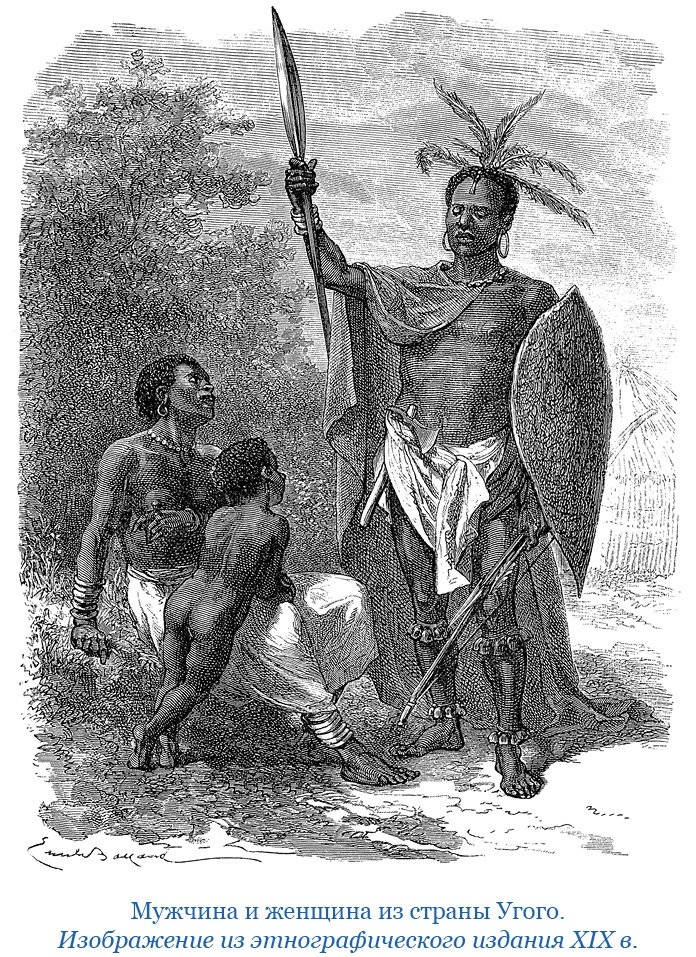 Дневники исследователя Африки Дневники исследователя Африки