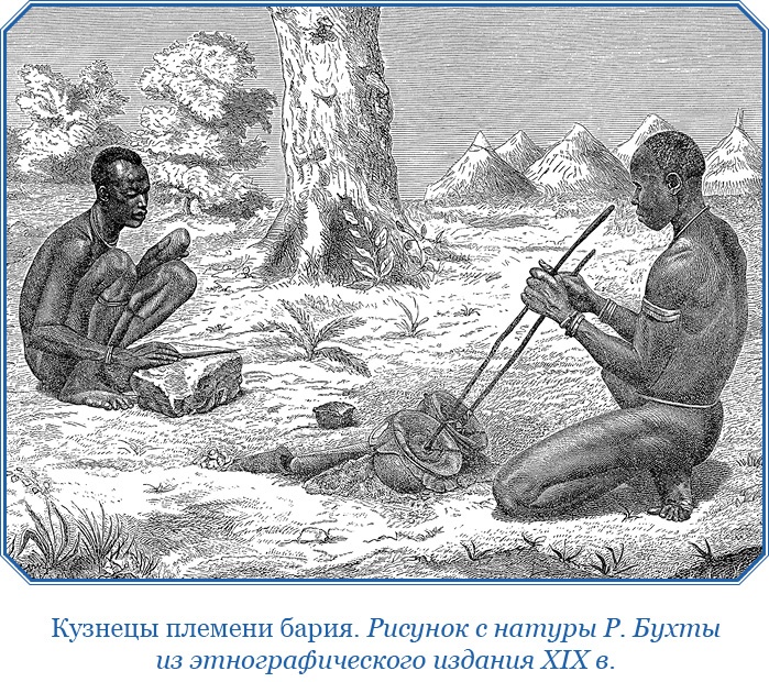 Дневники исследователя Африки Дневники исследователя Африки