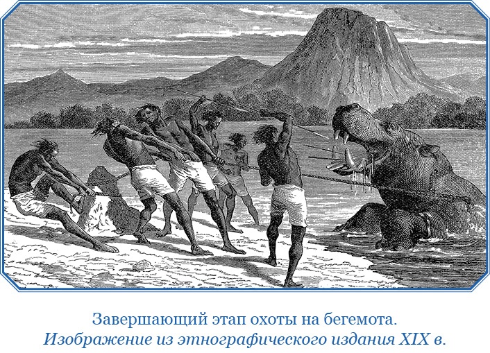 Дневники исследователя Африки Дневники исследователя Африки