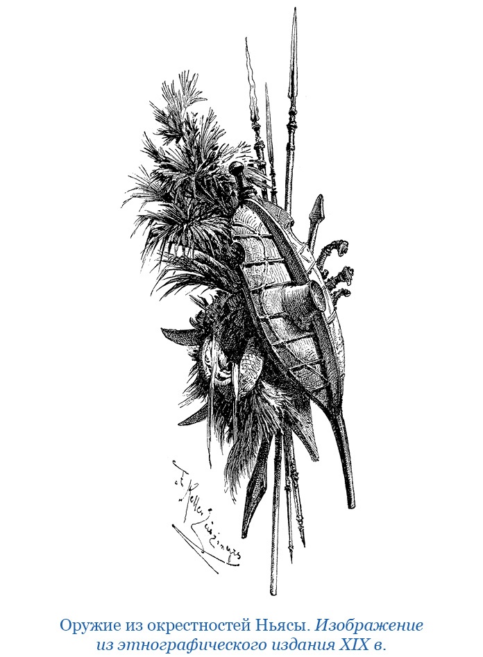 Дневники исследователя Африки Дневники исследователя Африки