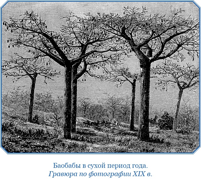 Дневники исследователя Африки Дневники исследователя Африки