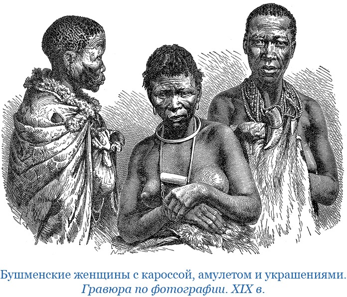 Дневники исследователя Африки Дневники исследователя Африки