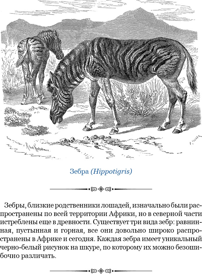 Дневники исследователя Африки Дневники исследователя Африки