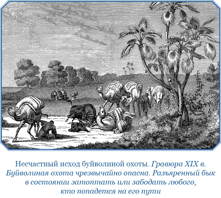 Дневники исследователя Африки Дневники исследователя Африки