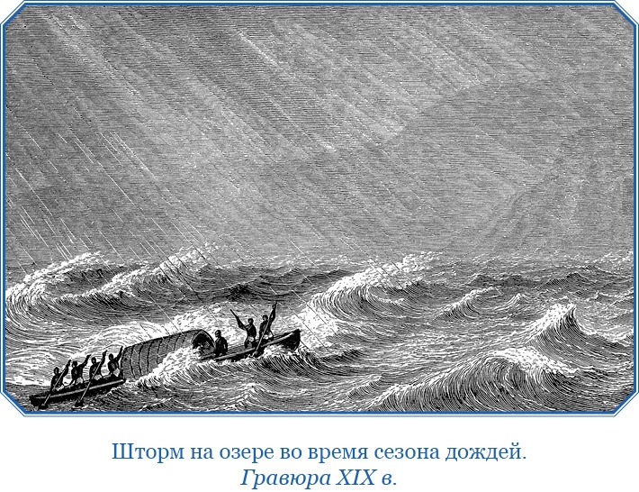 Дневники исследователя Африки Дневники исследователя Африки