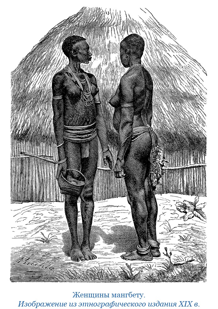 Дневники исследователя Африки Дневники исследователя Африки