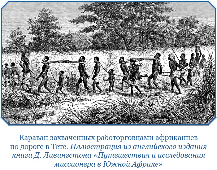 Дневники исследователя Африки Дневники исследователя Африки