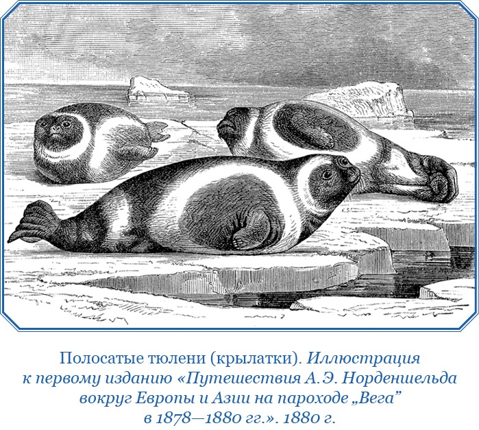 Плавания капитана флота Федора Литке вокруг света и по Северному Ледовитому океану Плавания капитана флота Федора Литке вокруг света и по Северному Ледовитому океану