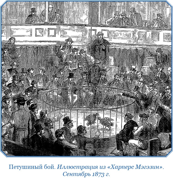Плавания капитана флота Федора Литке вокруг света и по Северному Ледовитому океану Плавания капитана флота Федора Литке вокруг света и по Северному Ледовитому океану