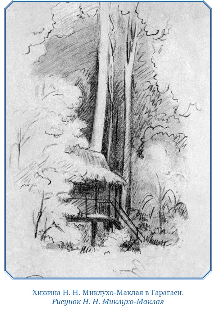 Путешествие на берег Маклая Путешествие на берег Маклая