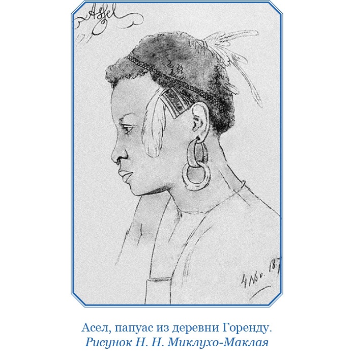 Путешествие на берег Маклая Путешествие на берег Маклая