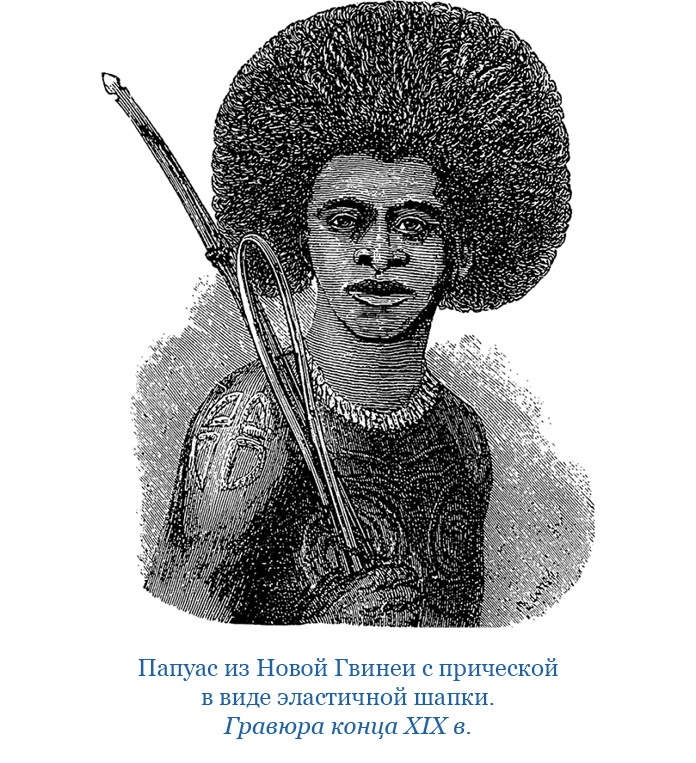 Путешествие на берег Маклая Путешествие на берег Маклая