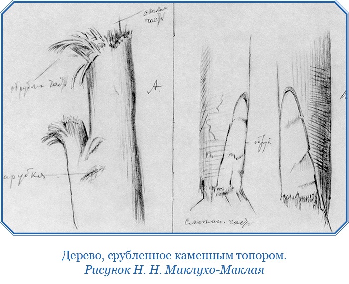 Путешествие на берег Маклая Путешествие на берег Маклая