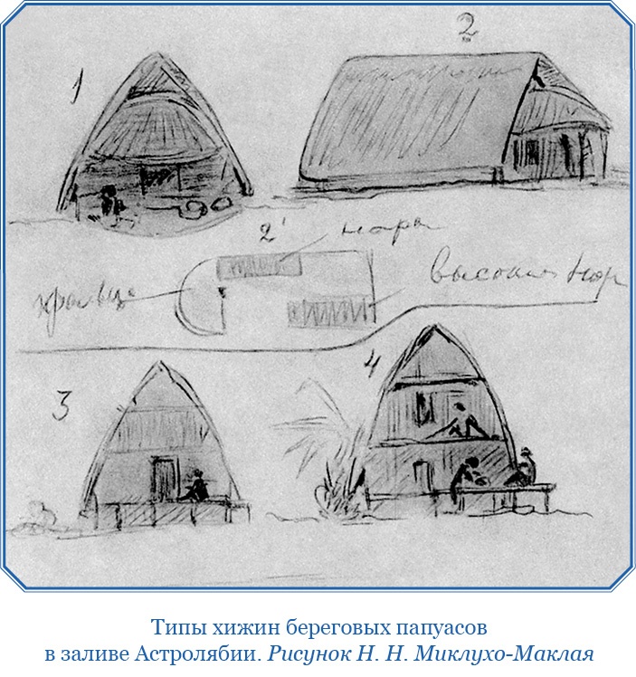 Путешествие на берег Маклая Путешествие на берег Маклая