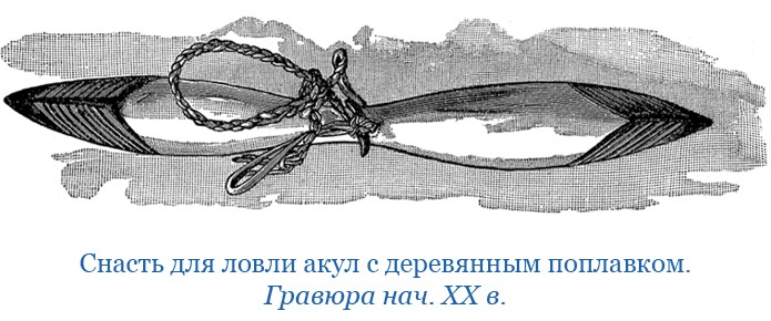 Путешествие на берег Маклая Путешествие на берег Маклая