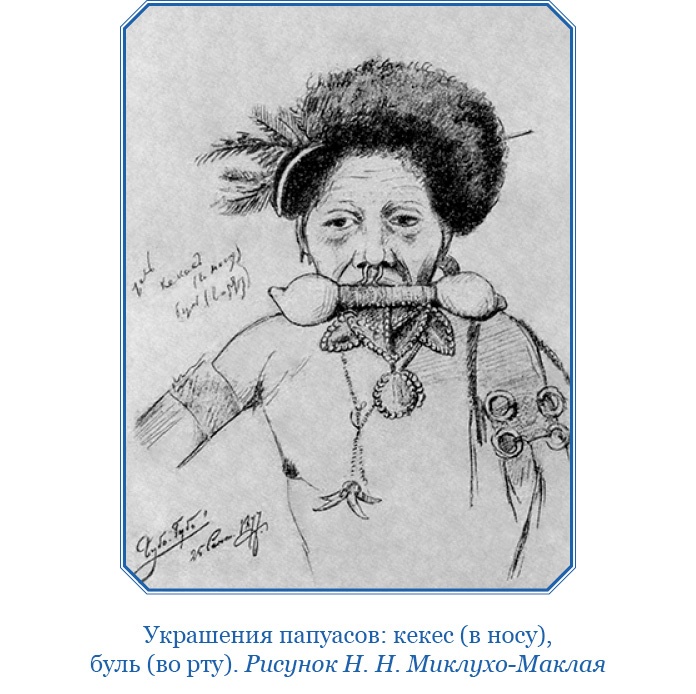 Путешествие на берег Маклая Путешествие на берег Маклая