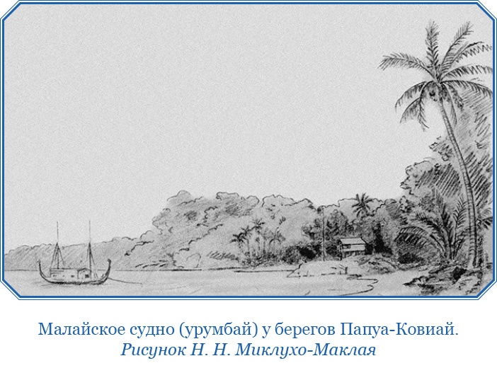Путешествие на берег Маклая Путешествие на берег Маклая