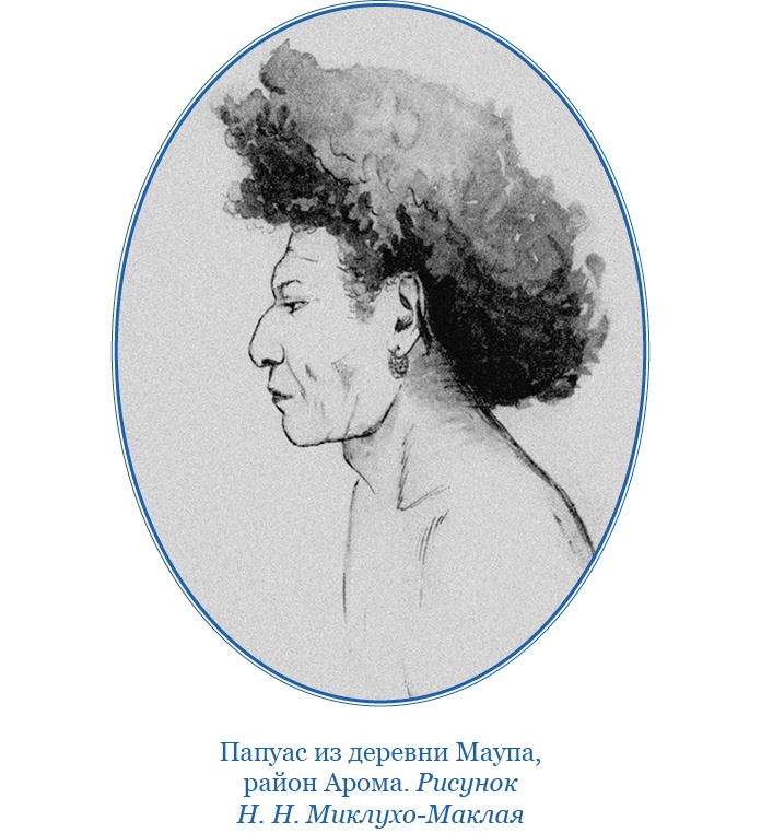 Путешествие на берег Маклая Путешествие на берег Маклая