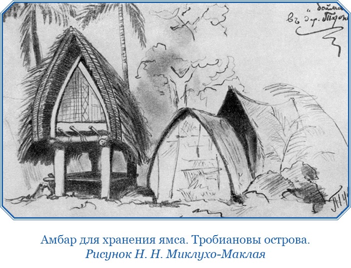Путешествие на берег Маклая Путешествие на берег Маклая