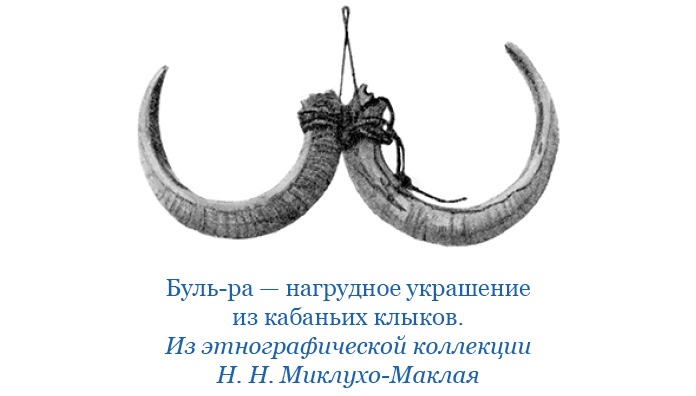 Путешествие на берег Маклая Путешествие на берег Маклая