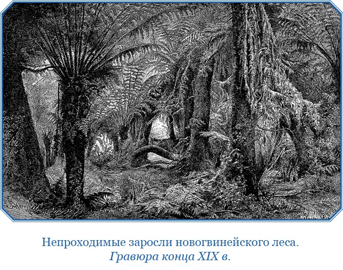 Путешествие на берег Маклая Путешествие на берег Маклая