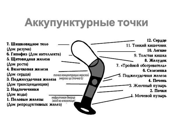 7 минут до оргазма. Книга-тренинг 7 минут до оргазма. Книга-тренинг
