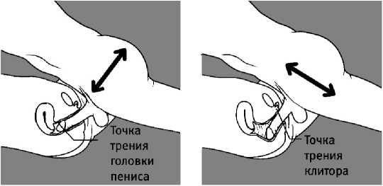 7 минут до оргазма. Книга-тренинг 7 минут до оргазма. Книга-тренинг