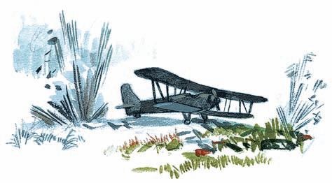 Оборона Севастополя. 1941-1943. Сражение за Кавказ. 1942-1944 Оборона Севастополя. 1941-1943. Сражение за Кавказ. 1942-1944