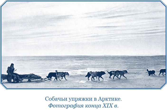 «Фрам» в Полярном море «Фрам» в Полярном море