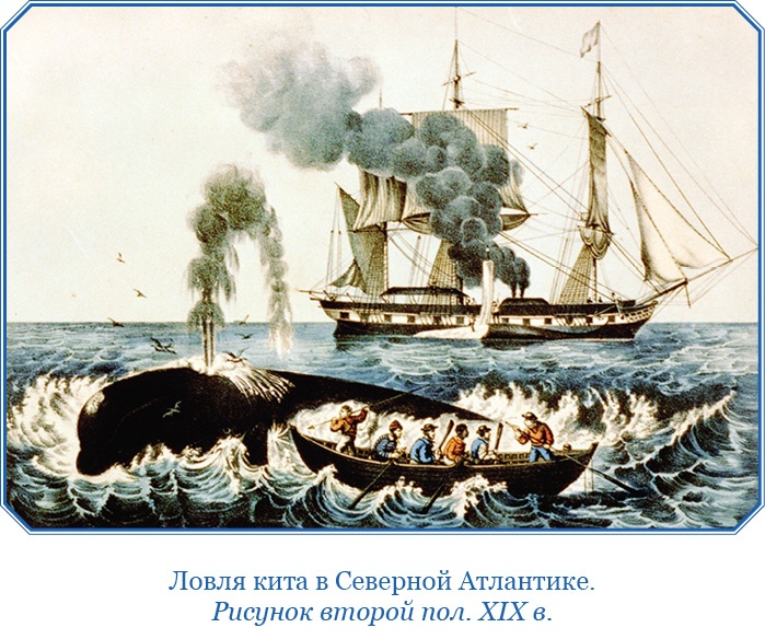 «Фрам» в Полярном море «Фрам» в Полярном море