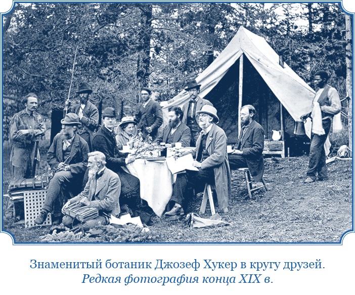 «Фрам» в Полярном море «Фрам» в Полярном море