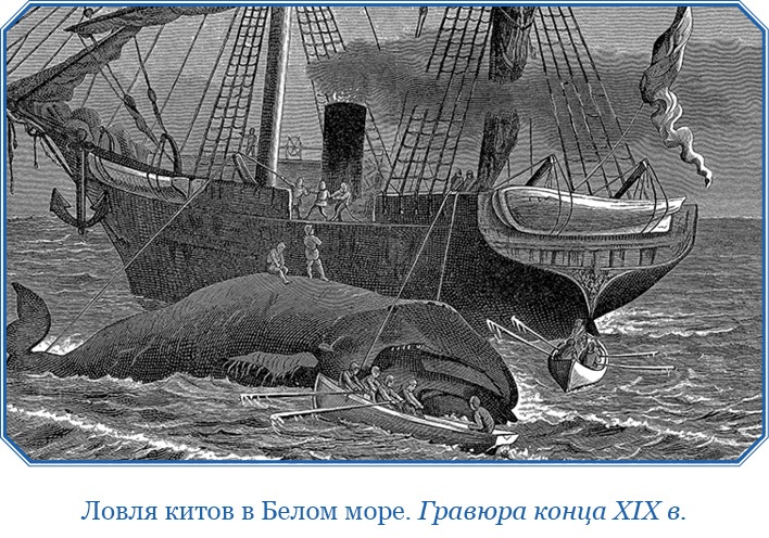«Фрам» в Полярном море «Фрам» в Полярном море