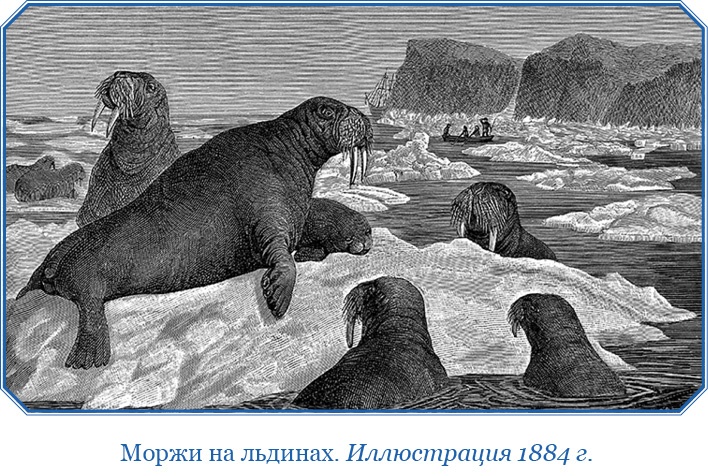 «Фрам» в Полярном море «Фрам» в Полярном море