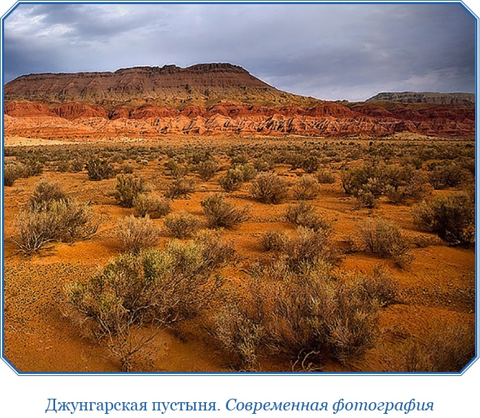 Алтай. Монголия. Китай. Тибет. Путешествия в Центральной Азии Алтай. Монголия. Китай. Тибет. Путешествия в Центральной Азии