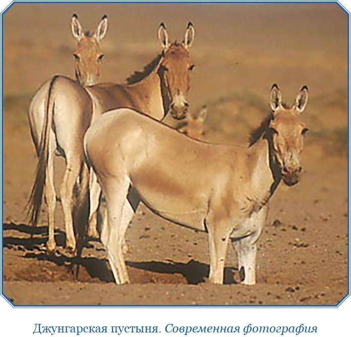 Алтай. Монголия. Китай. Тибет. Путешествия в Центральной Азии Алтай. Монголия. Китай. Тибет. Путешествия в Центральной Азии
