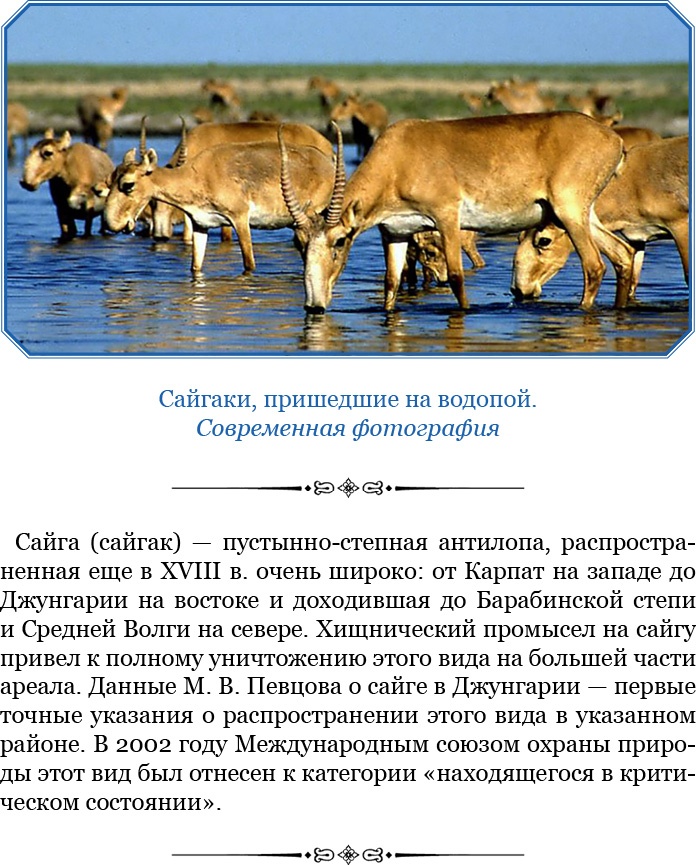 Алтай. Монголия. Китай. Тибет. Путешествия в Центральной Азии Алтай. Монголия. Китай. Тибет. Путешествия в Центральной Азии