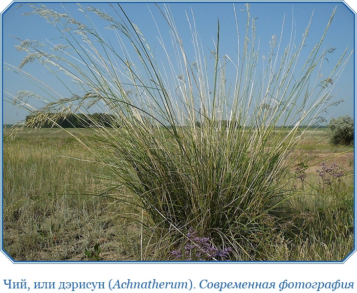 Алтай. Монголия. Китай. Тибет. Путешествия в Центральной Азии Алтай. Монголия. Китай. Тибет. Путешествия в Центральной Азии