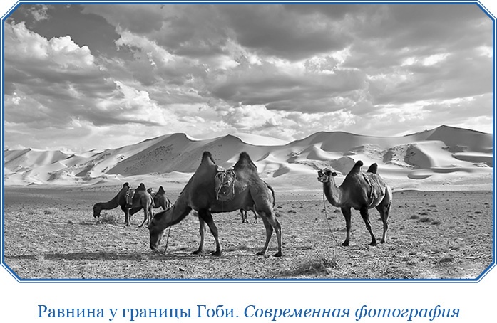 Алтай. Монголия. Китай. Тибет. Путешествия в Центральной Азии Алтай. Монголия. Китай. Тибет. Путешествия в Центральной Азии