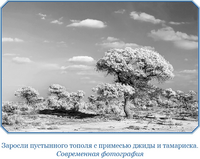 Алтай. Монголия. Китай. Тибет. Путешествия в Центральной Азии Алтай. Монголия. Китай. Тибет. Путешествия в Центральной Азии