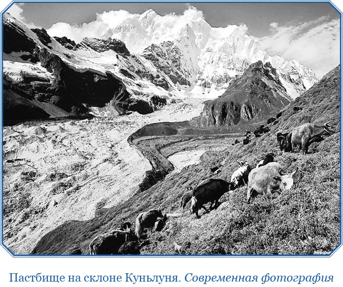 Алтай. Монголия. Китай. Тибет. Путешествия в Центральной Азии Алтай. Монголия. Китай. Тибет. Путешествия в Центральной Азии