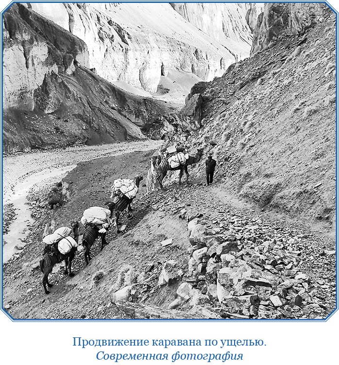 Алтай. Монголия. Китай. Тибет. Путешествия в Центральной Азии Алтай. Монголия. Китай. Тибет. Путешествия в Центральной Азии