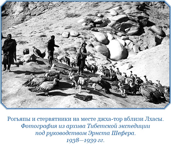 Сибирь. Монголия. Китай. Тибет. Путешествия длиною в жизнь Сибирь. Монголия. Китай. Тибет. Путешествия длиною в жизнь