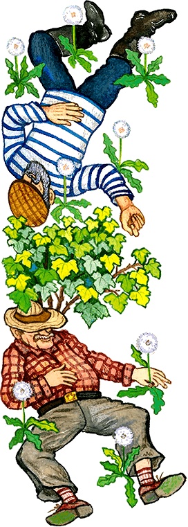 Новые приключения кошки Нюси. Сокровища короля Андраша Новые приключения кошки Нюси. Сокровища короля Андраша