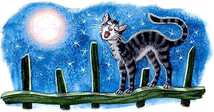 Новые приключения кошки Нюси. Сокровища короля Андраша Новые приключения кошки Нюси. Сокровища короля Андраша