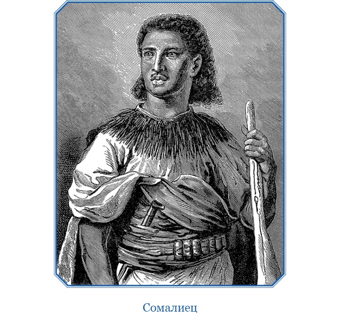 В дебрях Африки В дебрях Африки