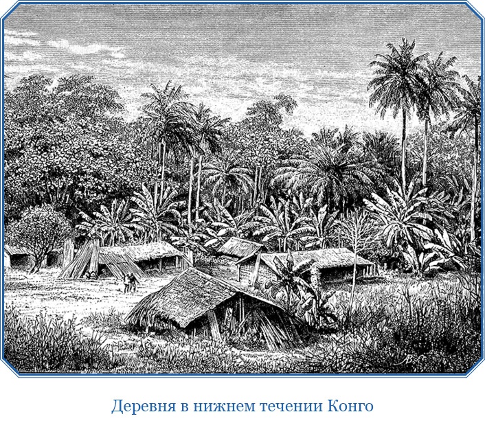 В дебрях Африки В дебрях Африки