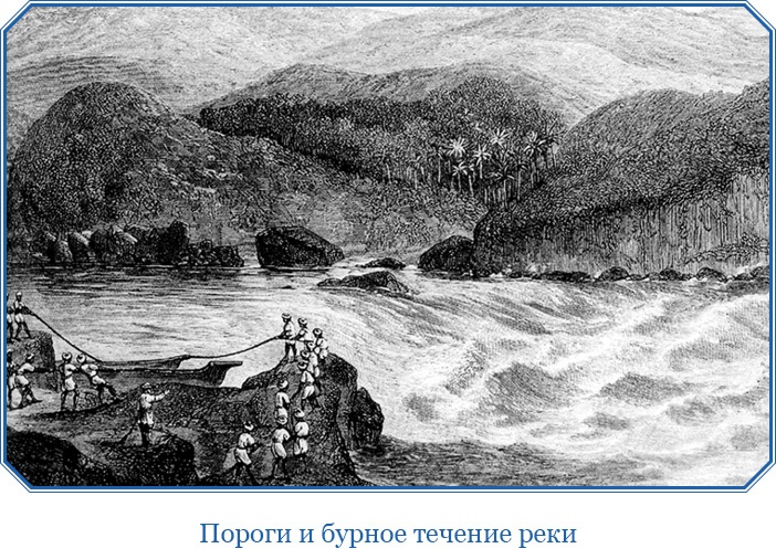 В дебрях Африки В дебрях Африки