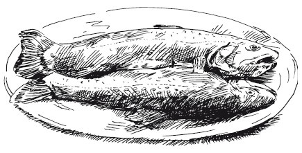 Подарок молодым хозяйкам, или Средство к уменьшению расходов в домашнем хозяйстве