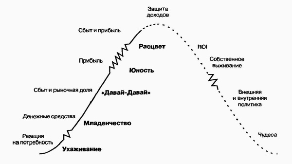 Управление жизненным циклом корпорации Управление жизненным циклом корпорации