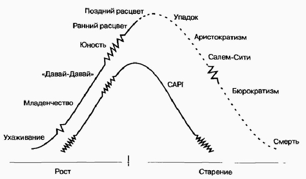 Управление жизненным циклом корпорации Управление жизненным циклом корпорации